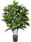 Фикус Эластика куст зелёный большой (искусственный) Treez Collection - фото 65460