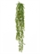 Каллизия зелёная большая ампельная (пластик) искусственная Treez Collection - фото 65468