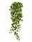Филодендрон Сканденс ампельный большой (Sensitive Botanic) искусственный Treez Collection 19667 - фото 65471