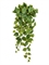Филодендрон Сканденс ампельный средний (Sensitive Botanic) искусственный Treez Collection - фото 65472