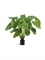 Алоказия Калидора куст большой (искусственный) Treez Collection - фото 65481