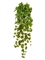 Потос Ауреум ампельный большой (Sensitive Botanic) искусственный Treez Collection - фото 66145