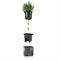 Комплект Lechuza Green Wall Home Kit Glossy с системой автополива 3245 - фото 66252
