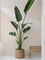 Кашпо Bohemian patt straw grass (Pottery Pots) 18128 - фото 67426