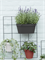 Кашпо настенное Loft urban green wall duo (Elho) 3788 - фото 67680