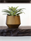 Кашпо Capi nature groove vase cylinder geo 30246 - фото 68910