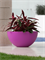 Кашпо Sfera (cono) basic round color (Vondom) 5442 - фото 69179