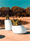 Кашпо Stone basic oval низкий (Vondom) 5444 - фото 69181