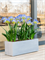 Кашпо Argento box (Nieuwkoop Europe) 4827 - фото 70677
