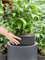 Кашпо Baq basic cylinder (with технический горшок) (Nieuwkoop Europe) 4846 - фото 70679