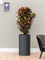 Кашпо Baq basic cylinder (with технический горшок) (Nieuwkoop Europe) 4846 - фото 70680