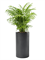 Кашпо Baq basic cylinder (with технический горшок) (Nieuwkoop Europe) 4846 - фото 70681