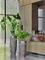 Кашпо Baq luxe lite universe layer partner (Nieuwkoop Europe) 4888 - фото 70719
