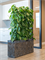Кашпо Baq luxe lite universe layer rectangle (Nieuwkoop Europe) 4889 - фото 70720