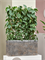 Кашпо Baq luxe lite universe layer rectangle (Nieuwkoop Europe) 4889 - фото 70721