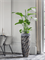 Кашпо Baq luxe lite universe wave partner (Nieuwkoop Europe) 4903 - фото 70737