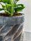 Кашпо Baq luxe lite universe wave partner (Nieuwkoop Europe) 4903 - фото 70738