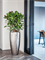 Кашпо Baq opus raw partner (with технический горшок) (Nieuwkoop Europe) 4917 - фото 70762