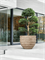 Кашпо Baq polystone coated junar couple (Nieuwkoop Europe) 4947 - фото 70775