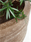 Кашпо Baq polystone coated junar couple (Nieuwkoop Europe) 4947 - фото 70776