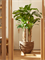Кашпо Baq polystone coated junar couple (Nieuwkoop Europe) 4947 - фото 70777
