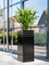 Кашпо Baq line-up square matt (с техническим горшком) (Nieuwkoop Europe) 5213 - фото 70872