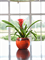 Кашпо Charlotte pot (Nieuwkoop Europe) 10375 - фото 70940
