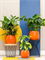 Кашпо Charlotte pot (Nieuwkoop Europe) 10375 - фото 70942