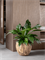 Кашпо Baq facets jenga couple (с техническим горшком) (Nieuwkoop Europe) 20853 - фото 71076