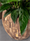 Кашпо Baq facets jenga couple (с техническим горшком) (Nieuwkoop Europe) 20853 - фото 71077