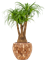 Кашпо Baq facets jenga couple (с техническим горшком) (Nieuwkoop Europe) 20853 - фото 71078