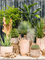 Кашпо Terra cotta omar pot (Nieuwkoop Europe) 21392 - фото 71108