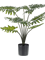 Филодендрон в горшке (12 листьев) искусственный Nieuwkoop Europe - фото 71848
