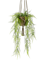 Аспарагус (15 листьев) в подвесном горшке (искусственный) Nieuwkoop Europe - фото 71894