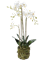Орхидея Фаленопсис с землёй и мхом 80 (искусственная) Nieuwkoop Europe - фото 71934