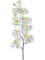 Орхидея Фаленопсис ветвь 100 (искусственная) Nieuwkoop Europe - фото 71938