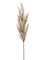 Трава Пампас ветка (искусственная) Nieuwkoop Europe 18335 - фото 72024