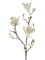 Магнолия ветвь с белыми цветами (искусственная) Nieuwkoop Europe - фото 72052