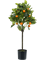 Апельсиновое дерево (искусственное)Nieuwkoop Europe - фото 72066