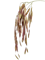 Ветка рипсалиса бордовая (искусственная) Nieuwkoop Europe - фото 72080
