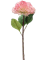 Седум ветка розовая (искусственная) Nieuwkoop Europe - фото 72089