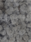 Стабилизированный мох Reindeer moss lavender (примерно. 0,45 m2) - фото 72128