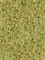 Стабилизированный мох Reindeer moss old green (примерно. 0,45 m2) - фото 72137