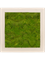 Картина из мха polystone natural 50/50/5 100% flat moss - фото 72159