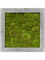 Картина из мха polystone raw grey 50/50/5 100% ball moss - фото 72162