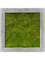 Картина из мха polystone raw grey 50/50/5 100% flat moss - фото 72164