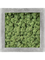 Картина из мха polystone raw grey 100% reindeer moss 50/50/5 (moss green) - фото 72166