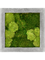 Картина из мха polystone raw grey 50/50/5 30% ball- and 70% flat moss - фото 72171
