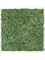 Картина из мха aluminum 100% reindeer moss 60/60/6 (moss green) - фото 72209