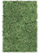 Картина из мха aluminum 100% reindeer moss 80/120/6 (moss green) - фото 72211